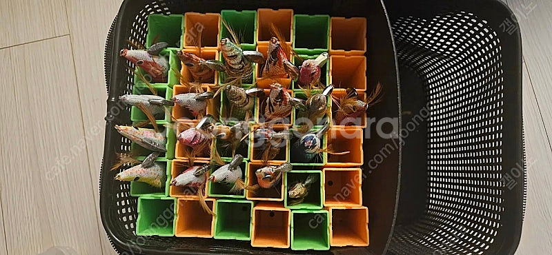 무늬오징어 캐스팅 에기 45개 5만원, 해동 에기케이스...--7