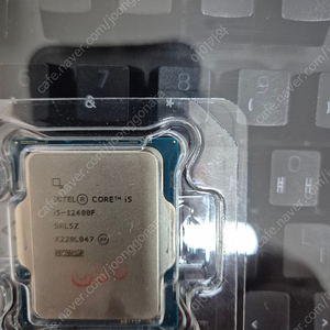 인텔 i5 12400f 단품