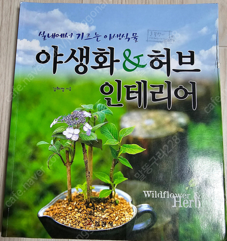 사진/너에게 꽃을/﻿야생화 & 허브 인테리어/야생화일기/﻿원예기능사 필기시험/﻿등산의 즐거움을 알까/﻿수영 하면 뜬... 이미지