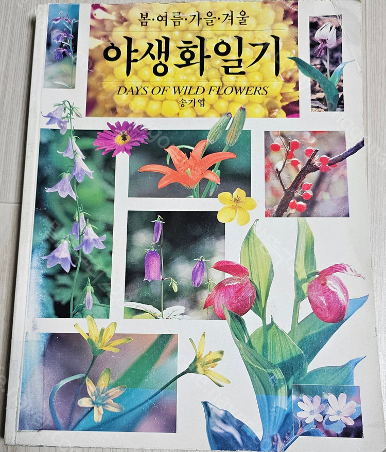 사진/너에게 꽃을/﻿야생화 & 허브 인테리어/야생화일기/﻿원예기능사 필기시험/﻿등산의 즐거움을 알까/﻿수영 하면 뜬... 이미지