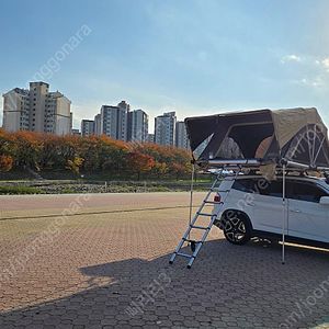 가이아 루프탑 텐트 3~4인용 팝니다 가로바×포함×