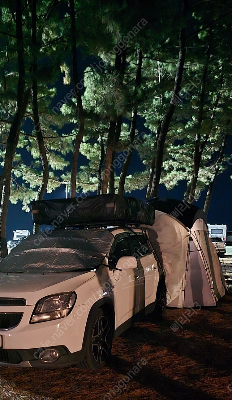 가이아 루프탑 텐트 3~4인용 팝니다 가로바×포함×--2