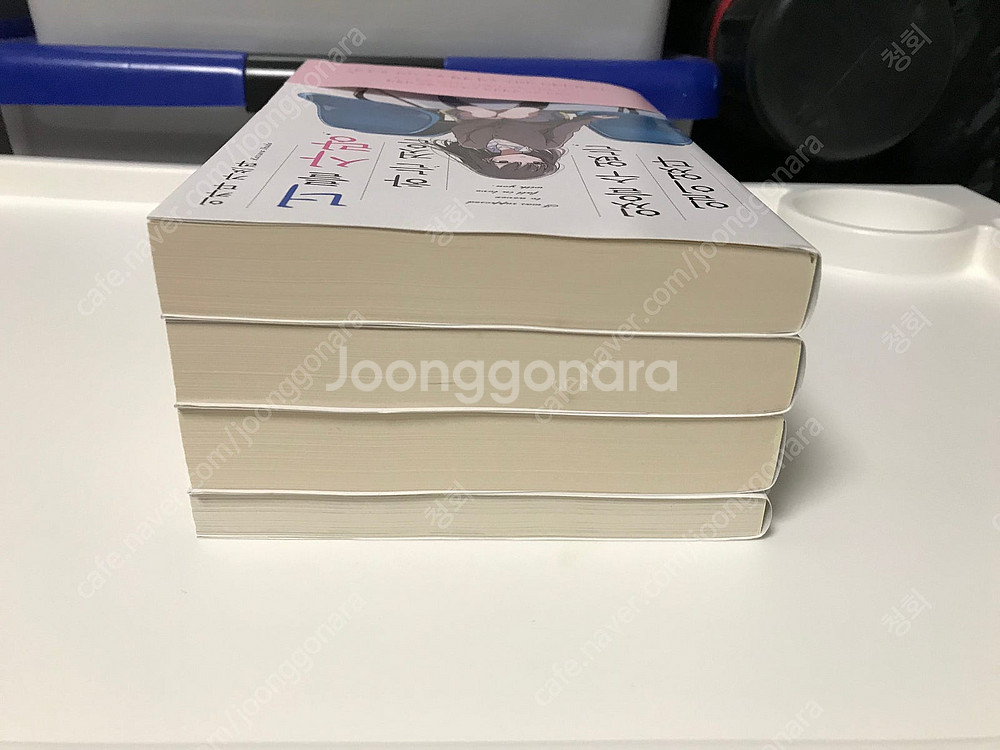 절판 라노벨 라이트 노벨 소설 너를 사랑하는 것은 있을...--5