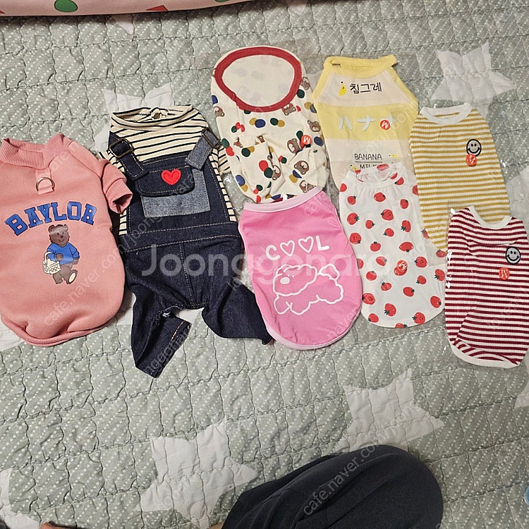 강아지옷 새옷엠사이즈--0