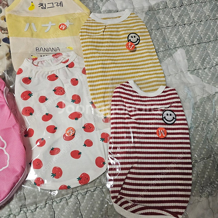 강아지옷 새옷엠사이즈--3