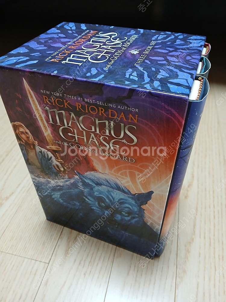 Magnus Chase and the Gods of--1