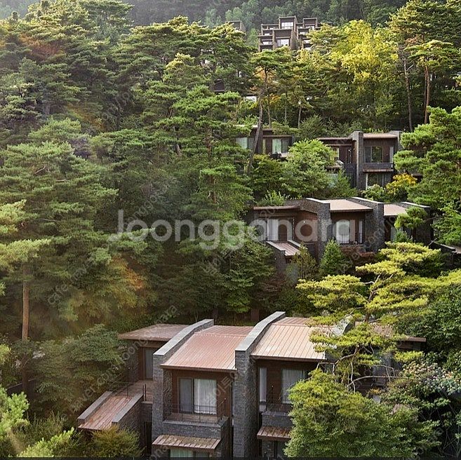 @7월8월~리솜 제천~쏠비치 삼척/양양/진도~소노벨 천...--0