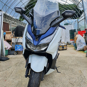 2018년 올뉴포르자 300 판매