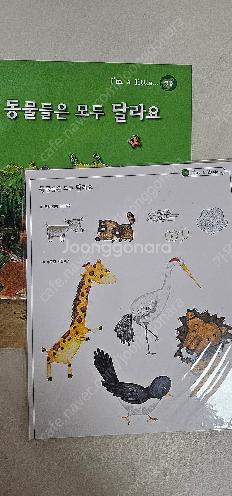 아가월드 아임어리틀..--0