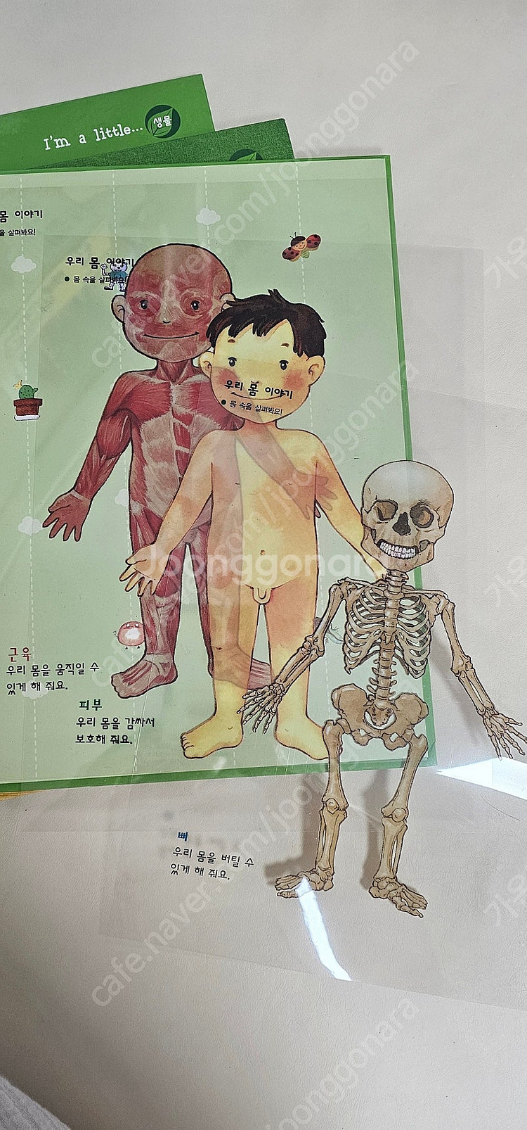 아가월드 아임어리틀..--1