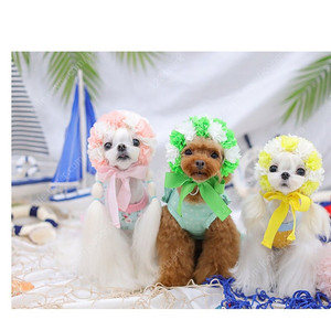 해피짱구/강아지수영복/수모