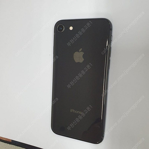 205197 아이폰8 스그 256기가 카메라무음 무잔상중고 액정깔끔 성능100% 메인폰 추천 19만원