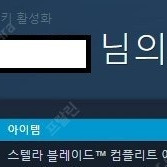 스텔라 블레이드 홍련 스킨 코드 판매