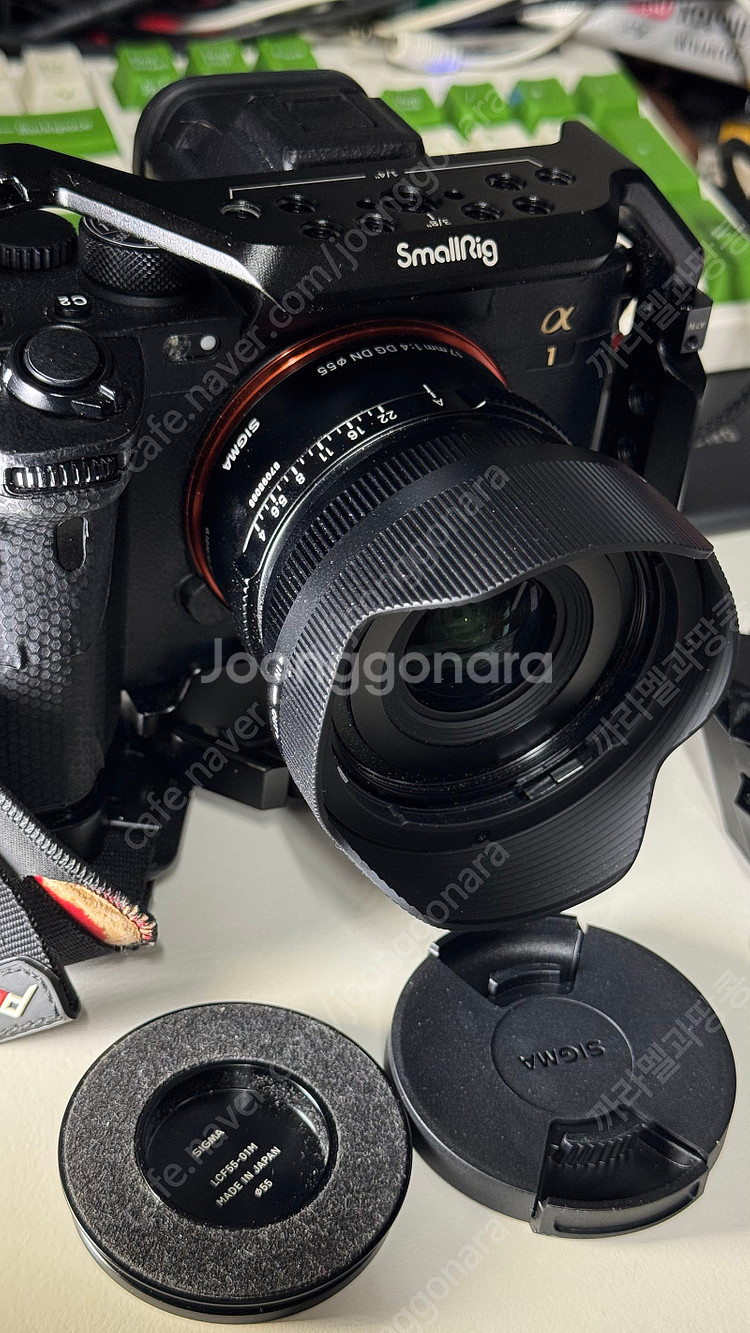 시그마 17mm f4 dg dn 소니 풀프레임 fe마운...--1
