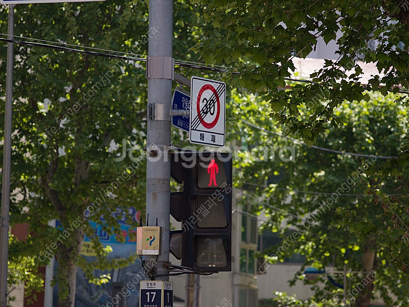 핫셀블라드 hasselblad cf 250mm f5.6...--4