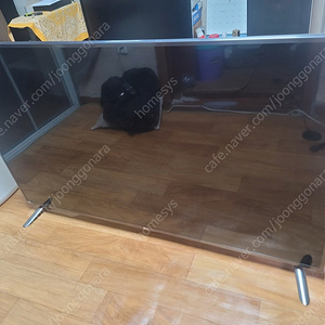 LG55인치TV팝니다