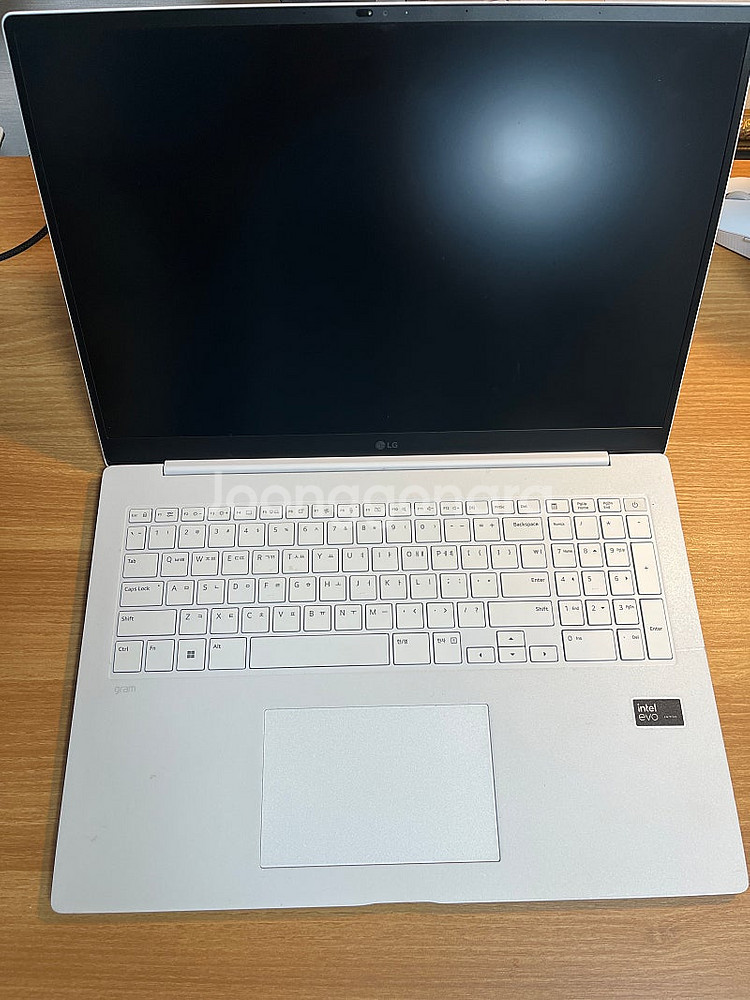 LG 그램 프로 17, 144hz 가방 (AS 2510--1