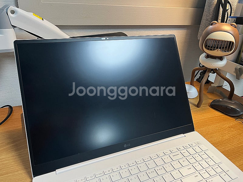 LG 그램 프로 17, 144hz 가방 (AS 2510--7