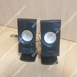 Canston캔스톤 스피커(LX-350) 저렴하게 팝니다(인천)