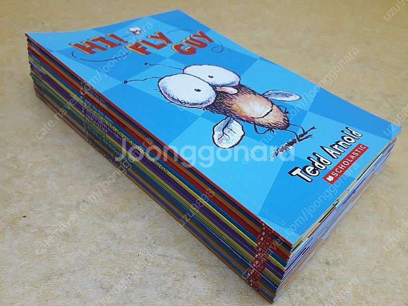 Scholastic FLY GUY 시리즈--1