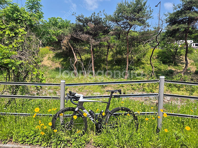 BMC 팀머신 r01 mod 듀라 di2--0