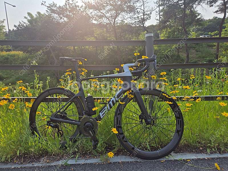 BMC 팀머신 r01 mod 듀라 di2--2