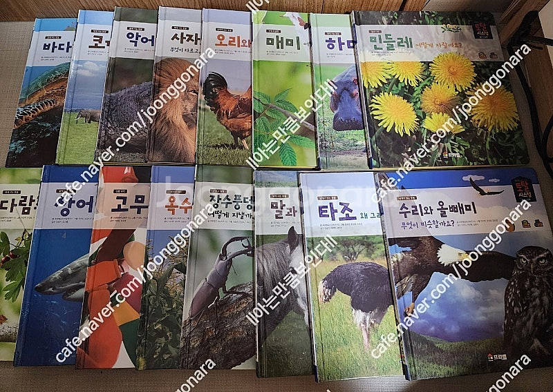 프뢰벨토탈012퍼펙트(영아다중.영아테마.말하기.생생다큐...--8
