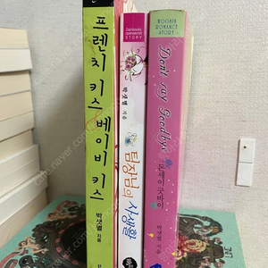 로맨스, 로맨스판타지 소설