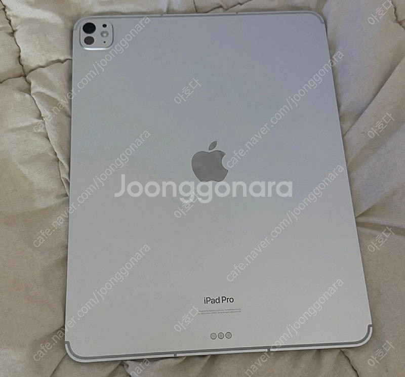아이패드 프로 M4 셀룰러 실버 13인치 256GB--0