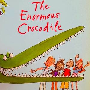 [베스트셀러]Roald Dahl 로알드달 18종 세트와 샬롯의 거미줄 총 19권 일괄