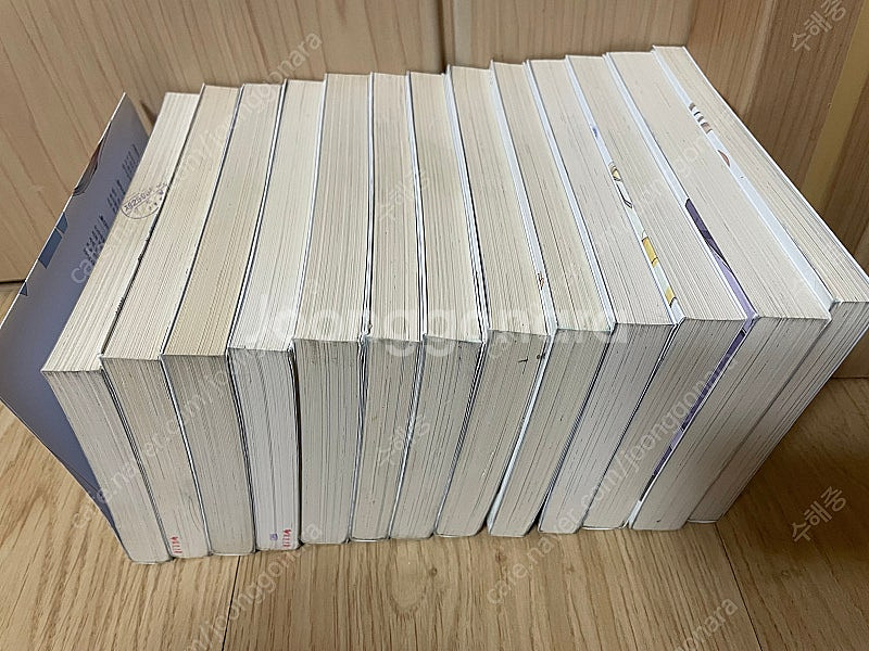 [무료배송] 사쿠라장의 애완그녀 1-10.5(총13권)...--2
