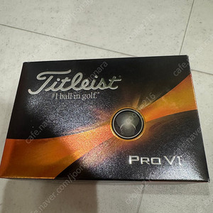 타이틀리스트 골프공 pro v1