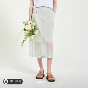sjsj 티셔츠 택새상품 5월구매 ( 타임 마인 랑방 더캐시미어 오브제 시스템 )