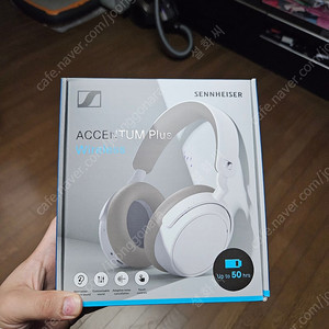 젠하이저 엑센텀 플러스 판매 SENNHEISER ACCENTUM PLUS