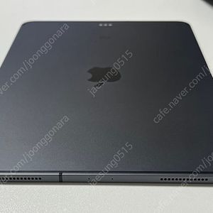 아이패드 프로 1세대 11인치 256 (셀룰러) [