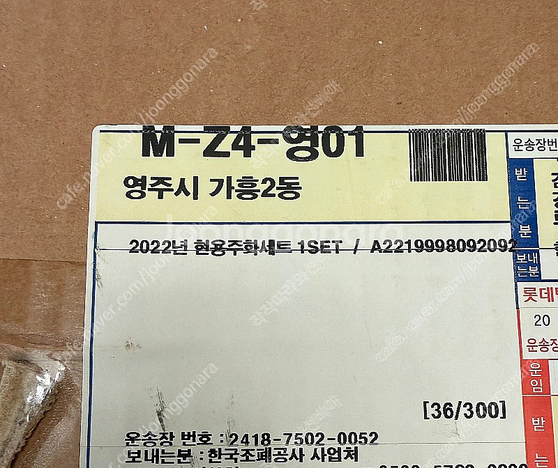 2022년 현용주화세트 민트--1