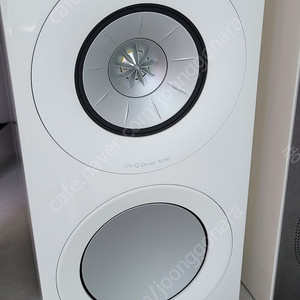 kef r3판매