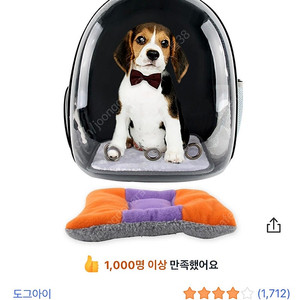 도그아이 투명우주선