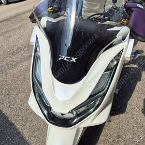 pcx125 화이트 화성봉담 수원51999km 220만원 사진그대로(당장 운행가능)