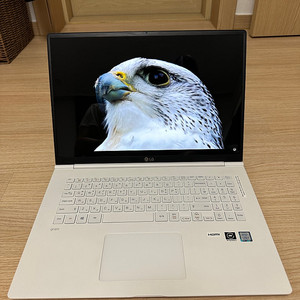 LG 그램17 17Z990-GR3CL