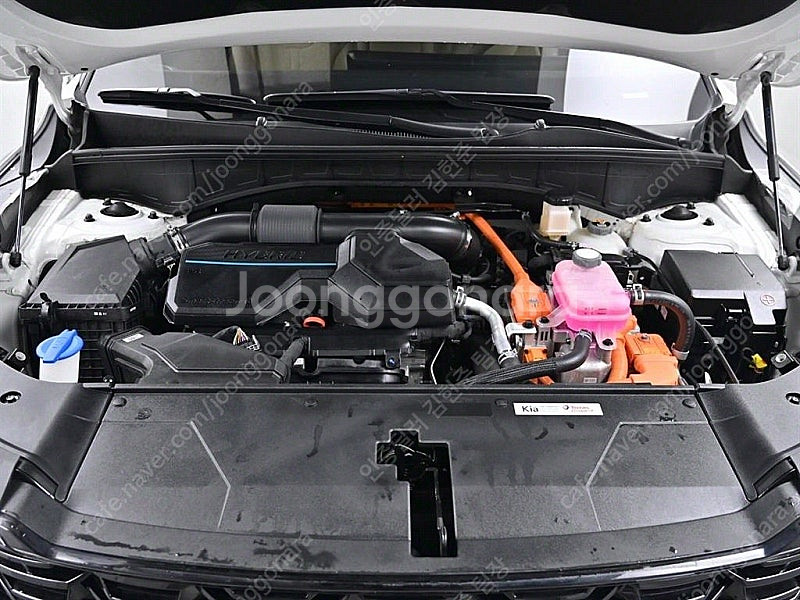 쏘렌토 중고 가격 쏘렌토 중고차 쏘렌토 하이브리드 중고...--6