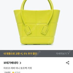 보테가 베네타 여성 아르코 러버 미니 토트백 (라임) Bottega Veneta 691194