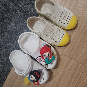 크록스 지비츠 포함 ( c10 ). 네이티브 드림