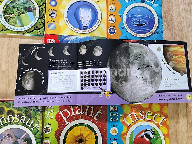 math fun, word fun, 바오밥science...--7