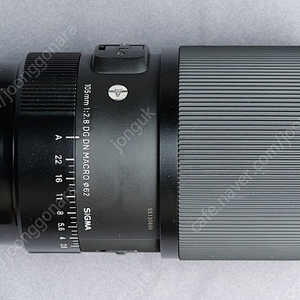 sigma 105mm macro dg dn (L마운트)