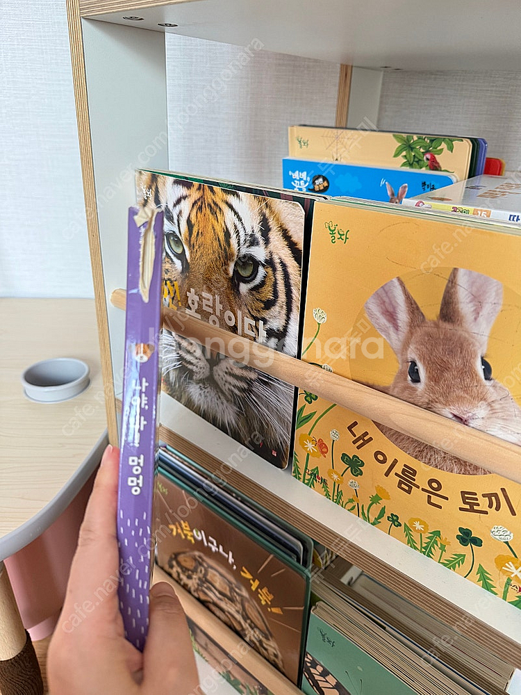 놀라운 자연 전집--0