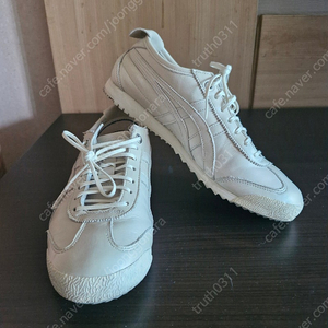 멕시코66sd 235