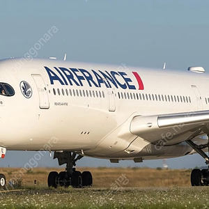 1:200 에어프랑스 항공기다이캐스트 삽니다 air france