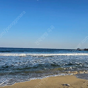 6월7월8월 휘닉스파크 평창. 무창포 비체펠리스 양도합니다
