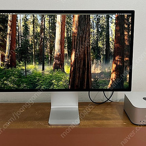 애플 스튜디오 디스플레이(apple studio display) + 높이 조절 스탠드